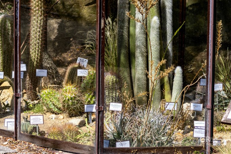 Zoo Plzeň – jeden den je skoro málo - 59