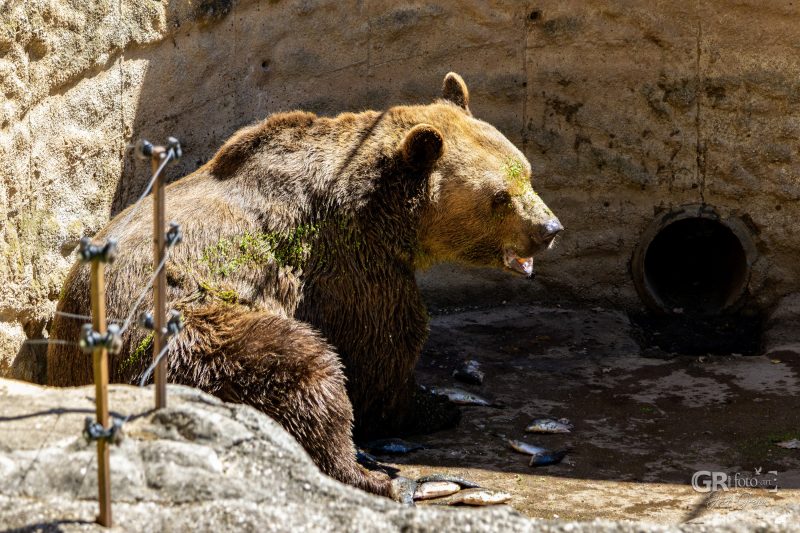 Zoo Plzeň – jeden den je skoro málo - 70
