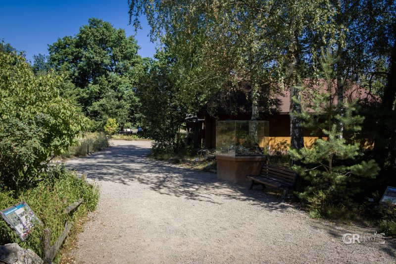 Zoo Plzeň – jeden den je skoro málo - 119