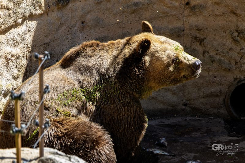Zoo Plzeň – jeden den je skoro málo - 69