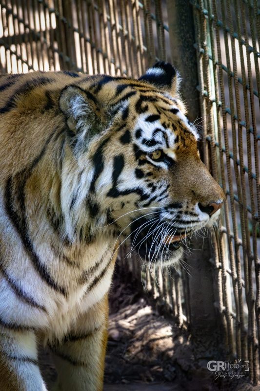 Zoo Plzeň – jeden den je skoro málo - 67
