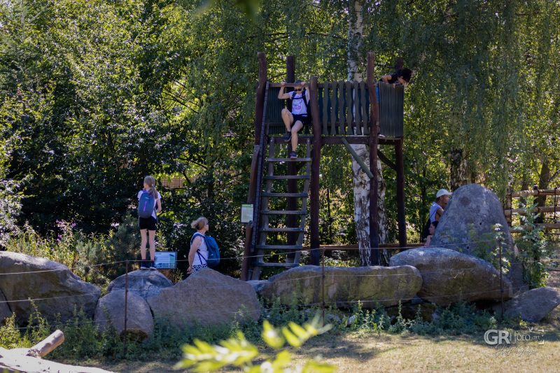 Zoo Plzeň – jeden den je skoro málo - 118