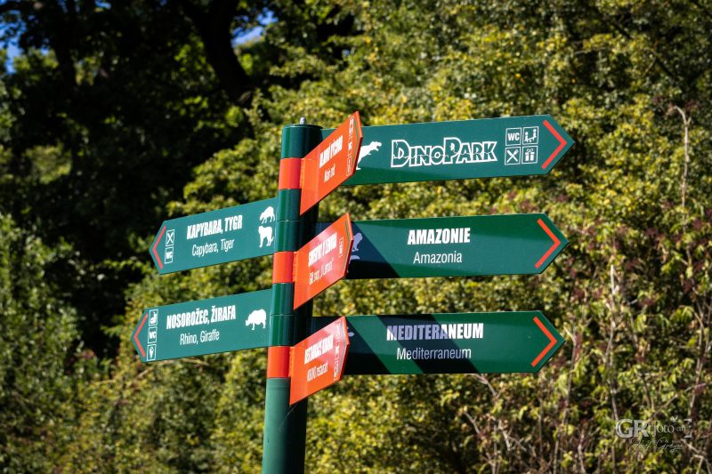 Zoo Plzeň – jeden den je skoro málo - 113