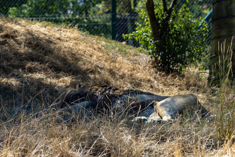 Zoo Plzeň – jeden den je skoro málo - 4