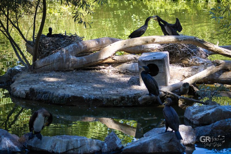 Zoo Plzeň – jeden den je skoro málo - 2