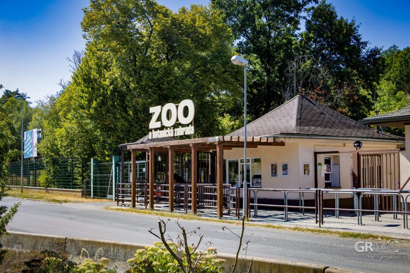 Zoo Plzeň – jeden den je skoro málo - 121