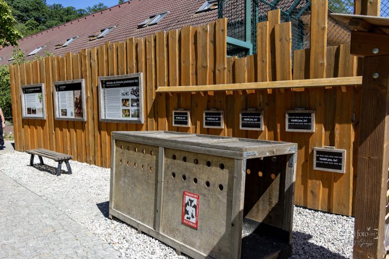 Zoo Plzeň – jeden den je skoro málo - 106