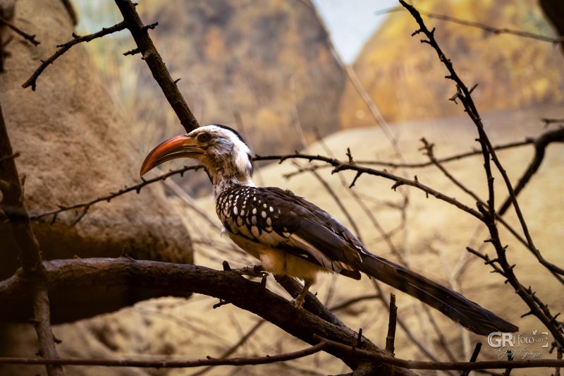 Zoo Plzeň – jeden den je skoro málo - 53