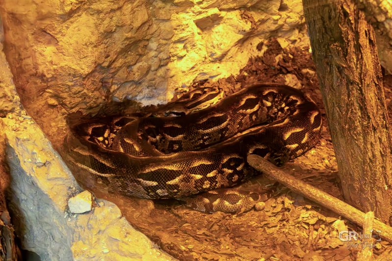 Zoo Plzeň – jeden den je skoro málo - 12