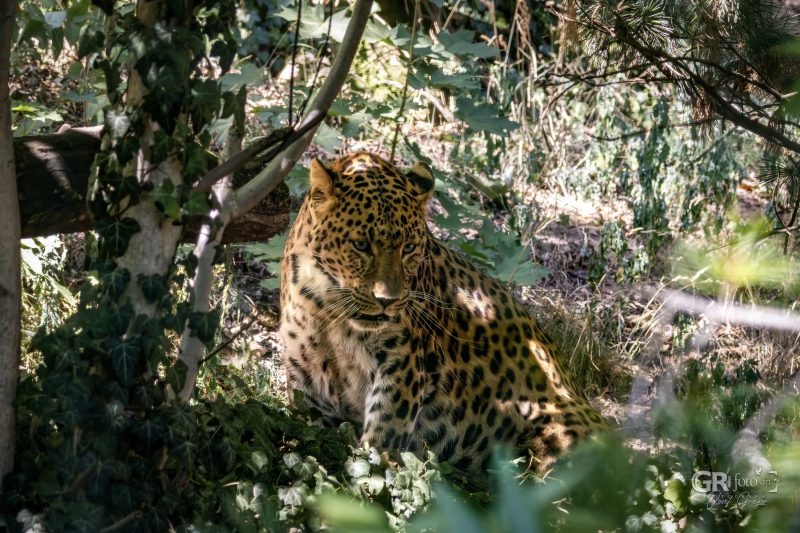 Zoo Plzeň – jeden den je skoro málo - 61