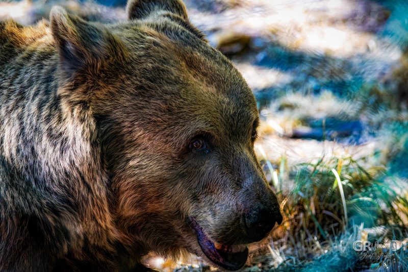 Zoo Plzeň – jeden den je skoro málo - 71