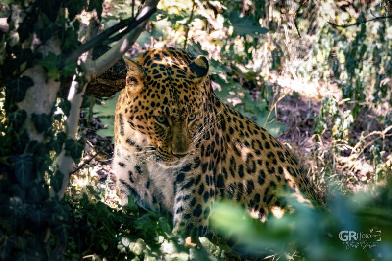 Zoo Plzeň – jeden den je skoro málo - 60