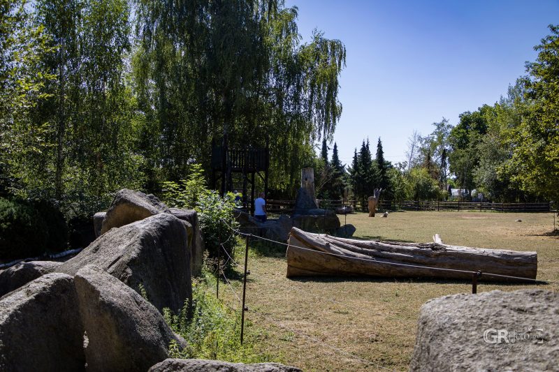 Zoo Plzeň – jeden den je skoro málo - 120