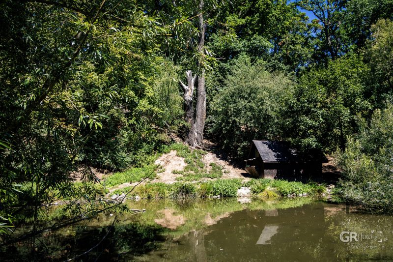 Zoo Plzeň – jeden den je skoro málo - 115