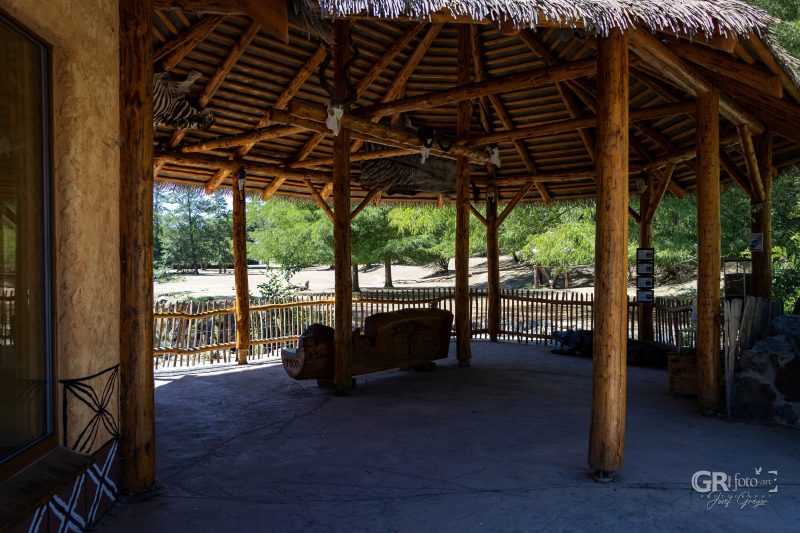 Zoo Plzeň – jeden den je skoro málo - 111
