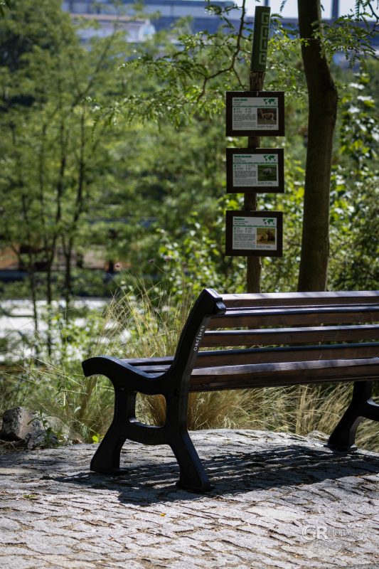 Zoo Plzeň – jeden den je skoro málo - 116