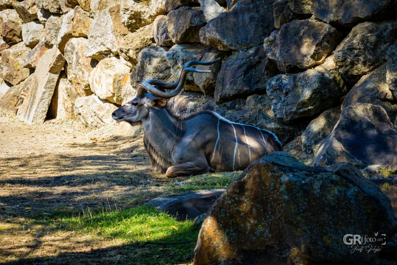 Zoo Plzeň – jeden den je skoro málo - 83