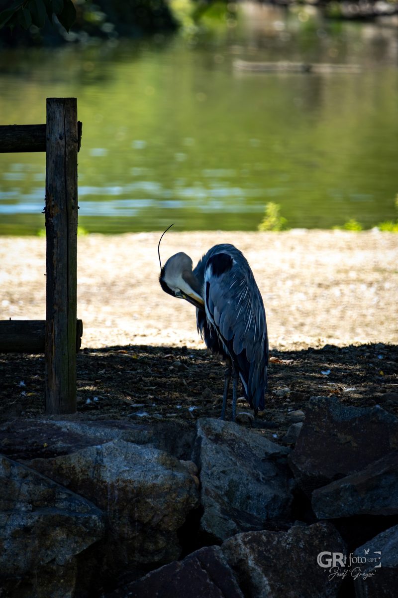 Zoo Plzeň – jeden den je skoro málo - 27