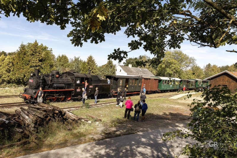 Polka si to šine do Bystřice - 36
