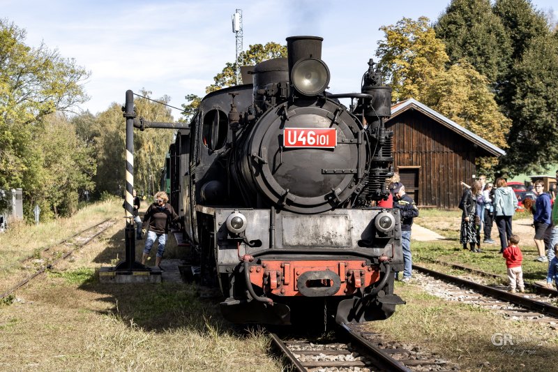 Polka si to šine do Bystřice - 29