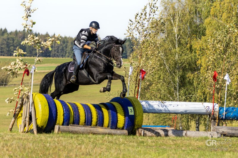 Jezdecké závody ve Dvorečku - 6