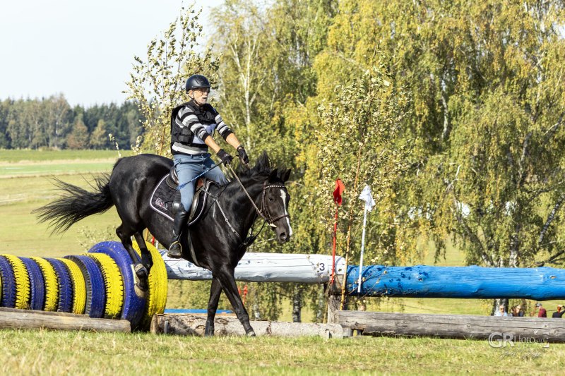 Jezdecké závody ve Dvorečku - 7