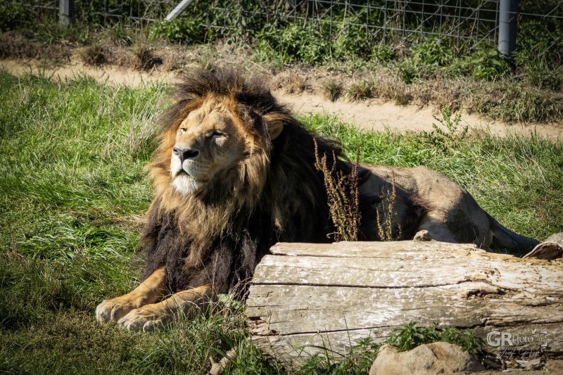 Zoo Na Hrádečku - mění se před očima - 12