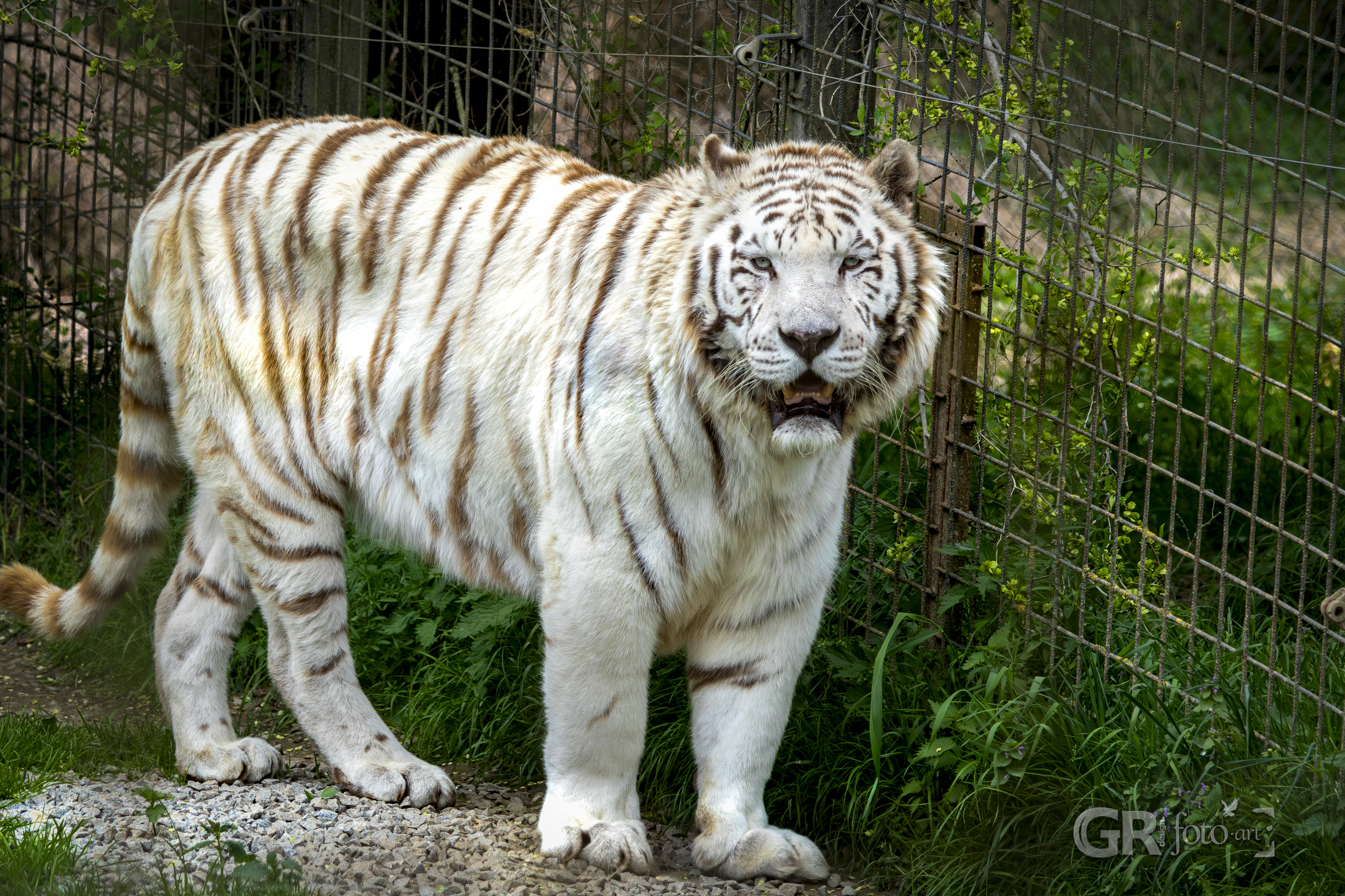Tip na výlet? To je divočina v ZOO Dvorec. - 56