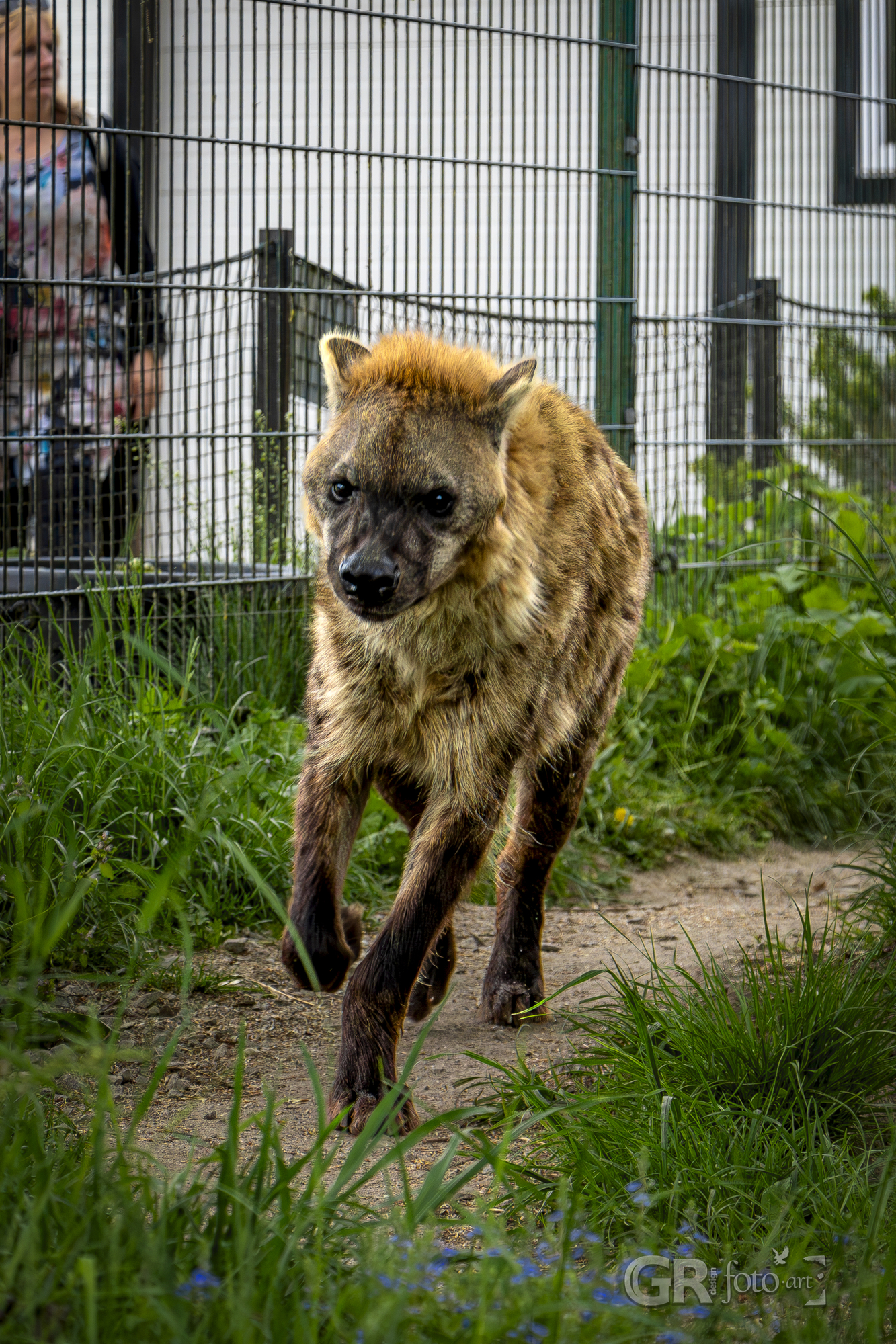 Tip na výlet? To je divočina v ZOO Dvorec. - 25