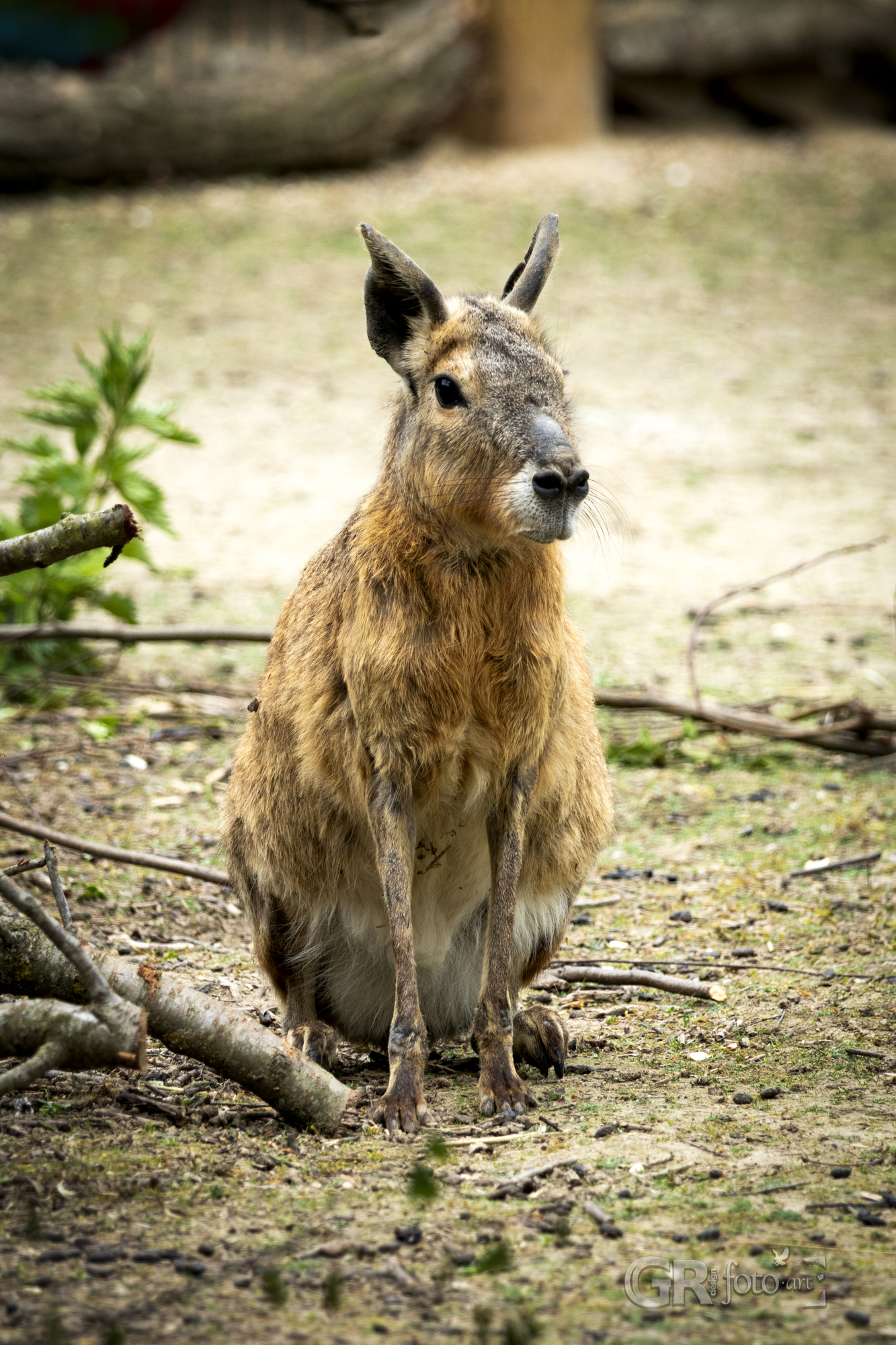 Tip na výlet? To je divočina v ZOO Dvorec. - 60