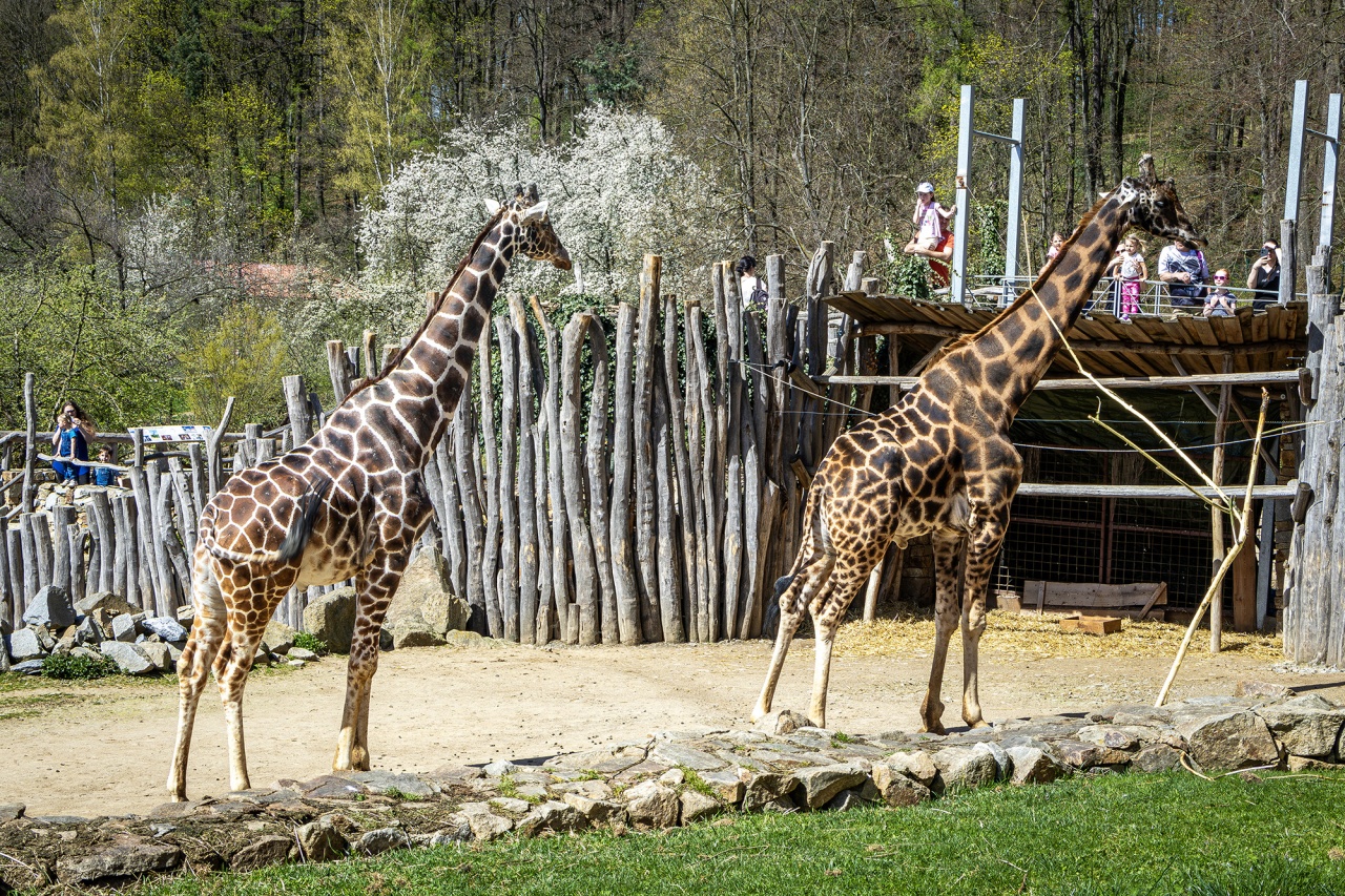 Zoo Jihlava